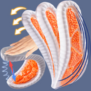 Palmilha OrtoSense Ortopédica